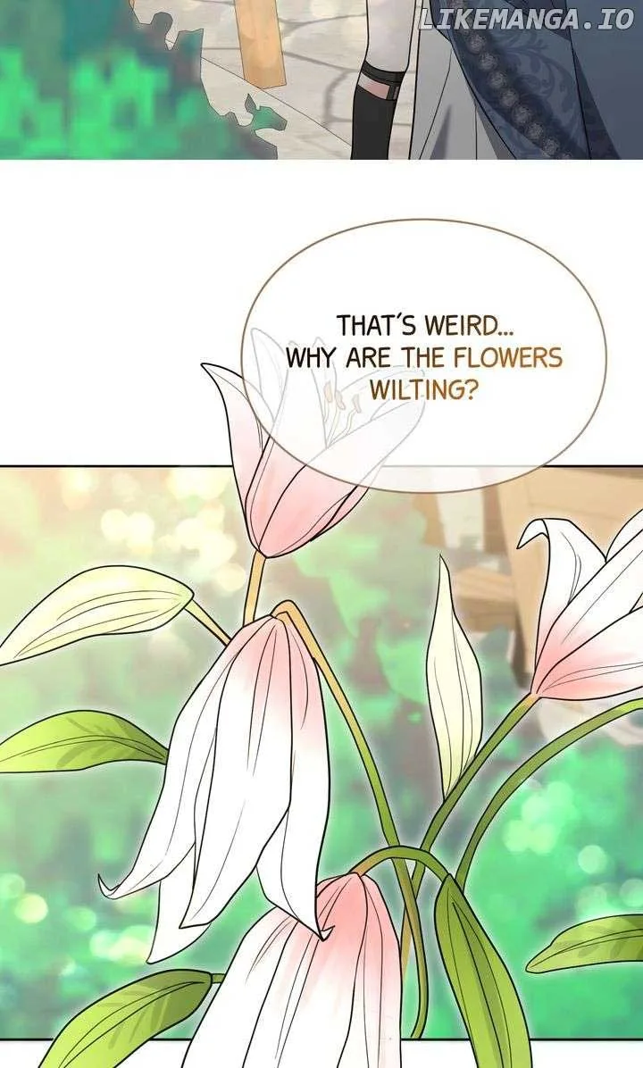 I Don’t Want to Be a Lady Chapter 52 page 71