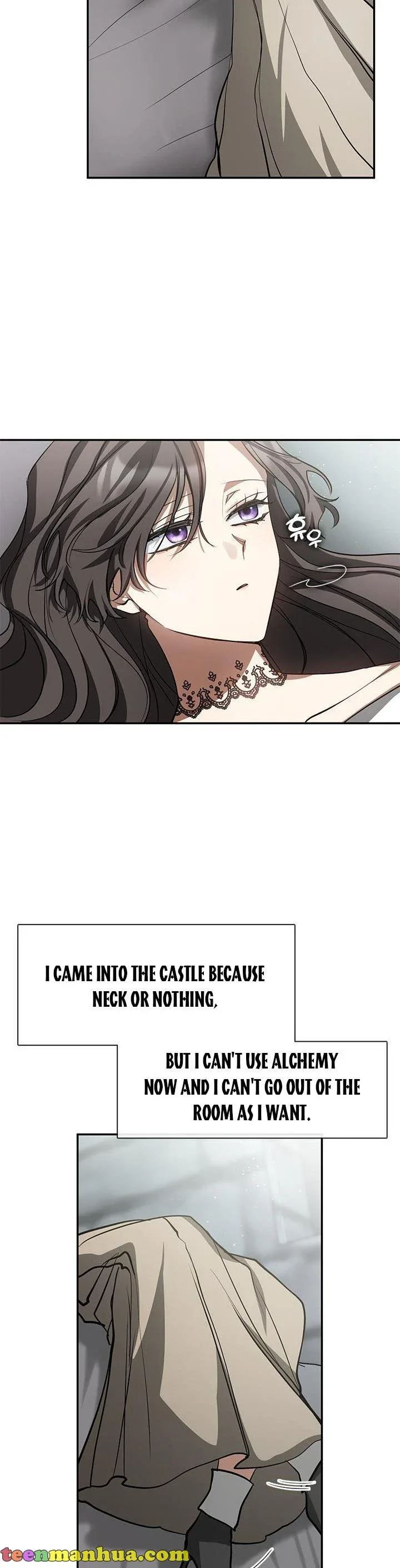 I Failed To Throw The Villain Away Chapter 65.5 page 3