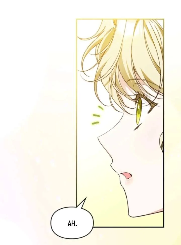 I Got Engaged To The Blind Duke Chapter 15 page 9