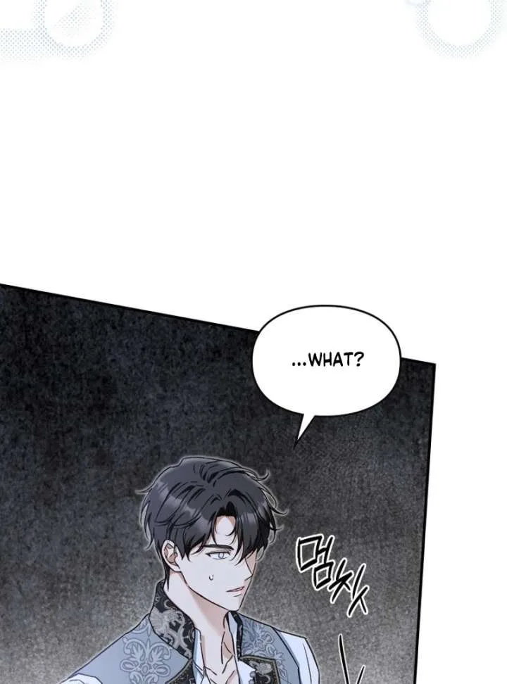 I Got Engaged To The Blind Duke Chapter 17 page 95
