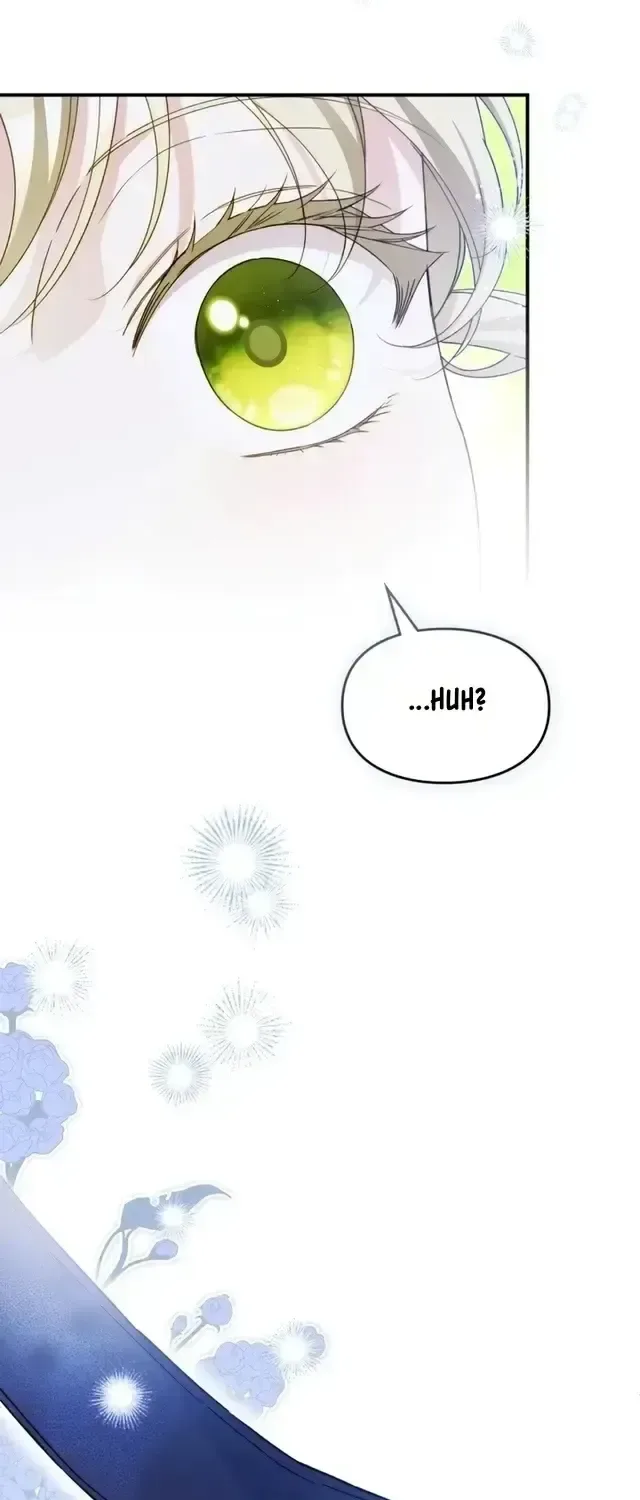 I Got Engaged To The Blind Duke Chapter 45 page 49