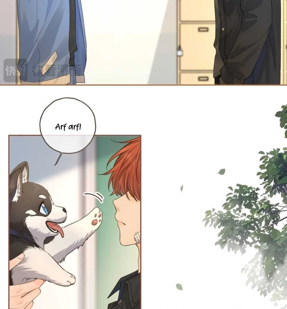 I Just Want To Mooch Off Your Luck Chapter 49 page 43
