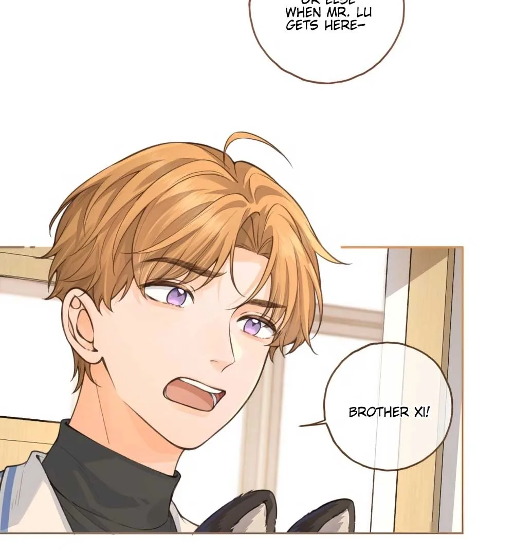 I Just Want To Mooch Off Your Luck Chapter 49 page 47