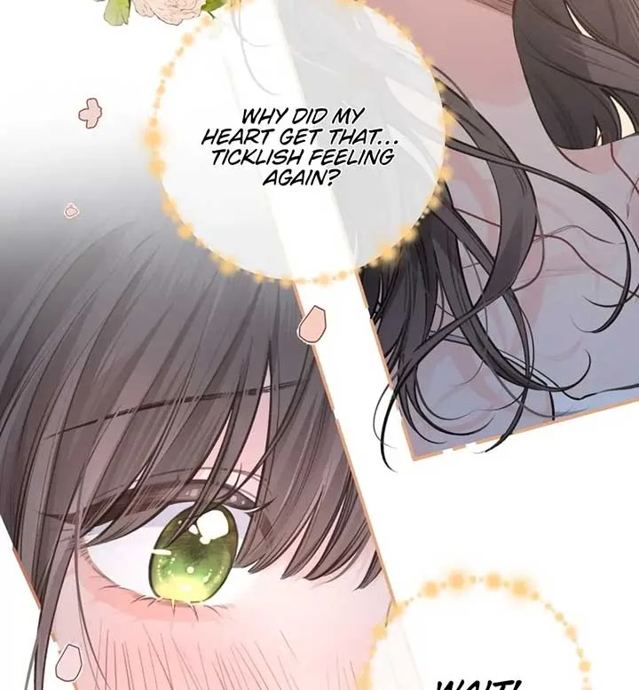 I Just Want To Mooch Off Your Luck Chapter 61 page 31