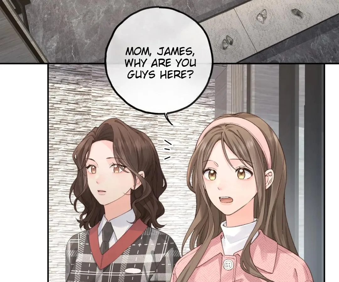 I Just Want To Mooch Off Your Luck Chapter 67 page 17
