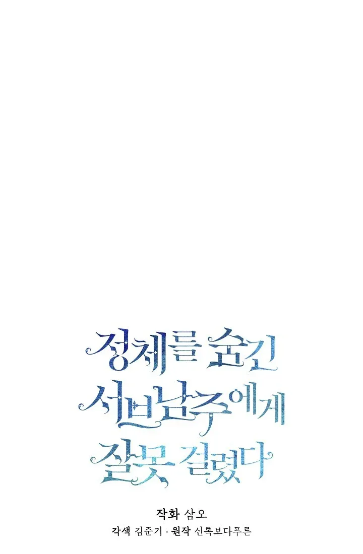 I Mistook the Hidden Identity of the Sub Male Lead Chapter 1 page 24