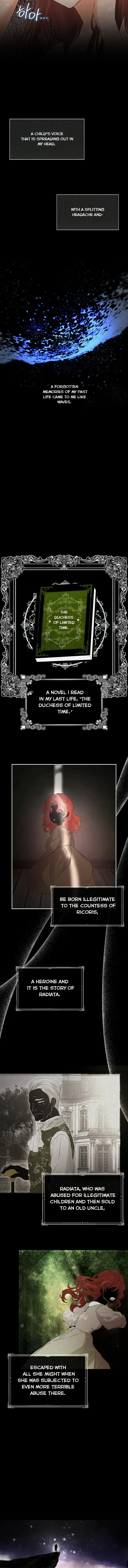 I Mistook the Hidden Identity of the Sub Male Lead Chapter 1.5 page 8