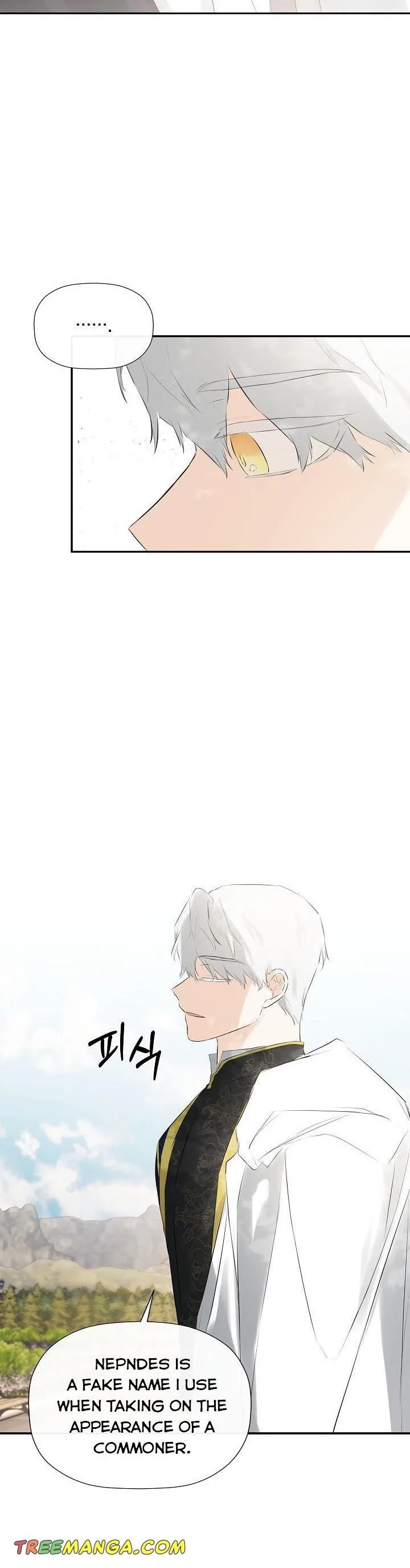 I Mistook the Hidden Identity of the Sub Male Lead Chapter 21 page 11