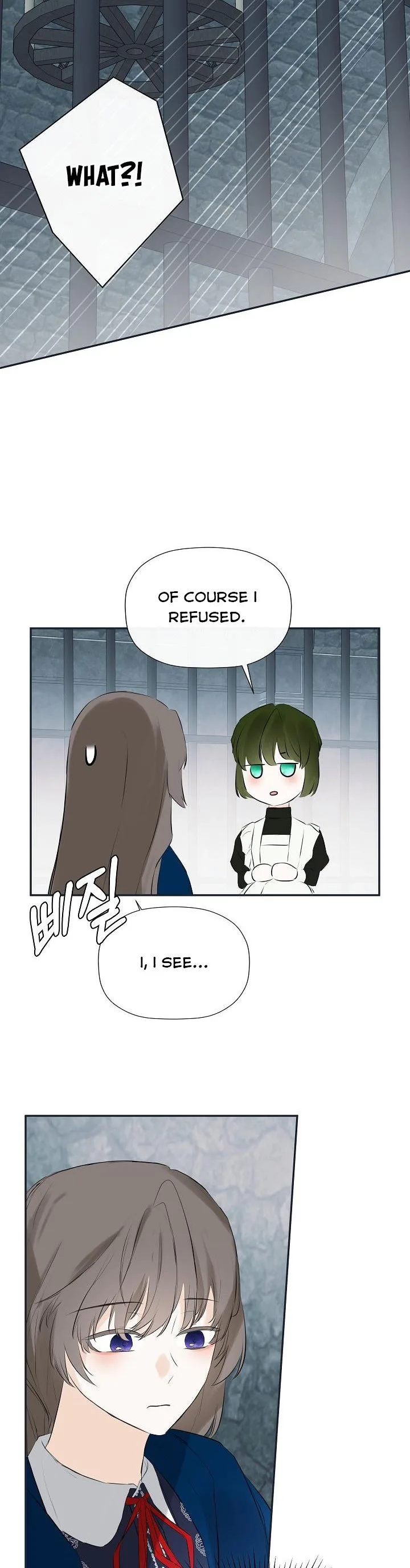 I Mistook the Hidden Identity of the Sub Male Lead Chapter 23 page 12