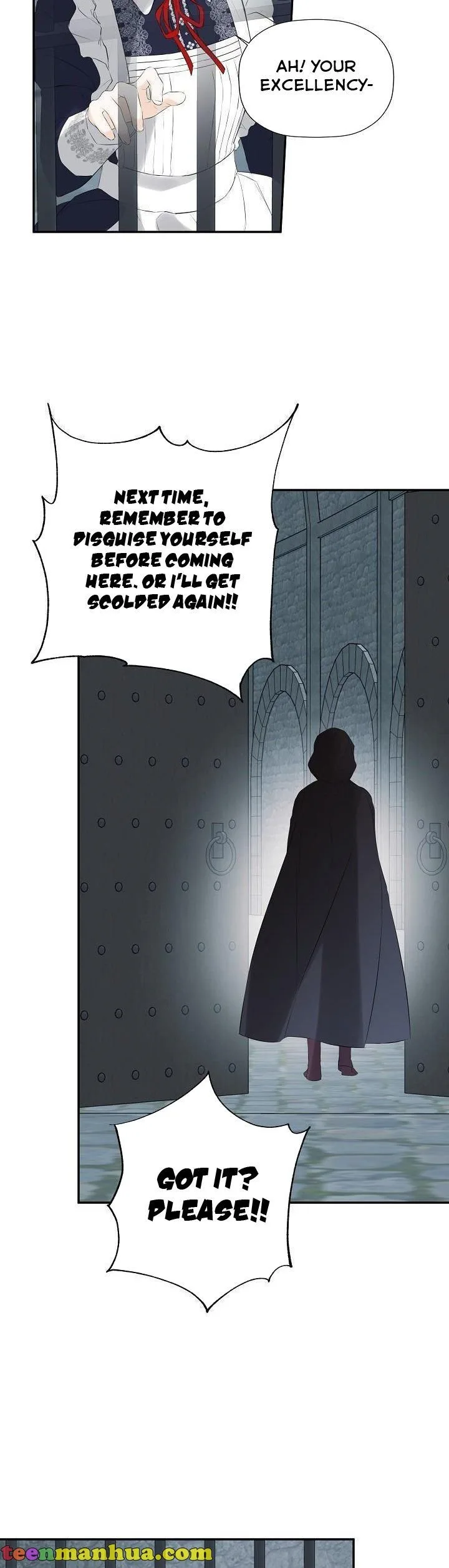 I Mistook the Hidden Identity of the Sub Male Lead Chapter 24 page 26
