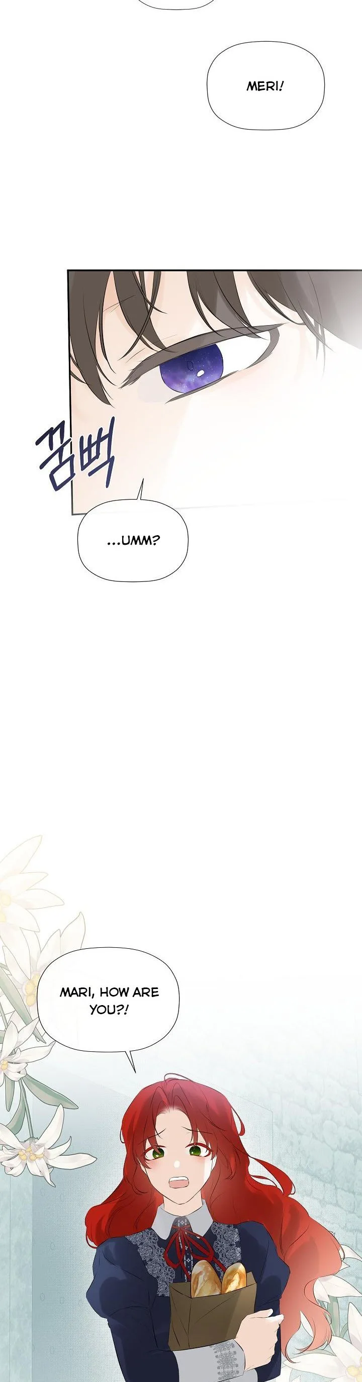 I Mistook the Hidden Identity of the Sub Male Lead Chapter 23 page 24