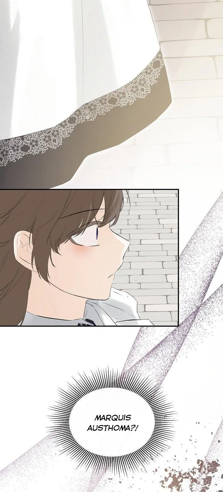 I Mistook the Hidden Identity of the Sub Male Lead Chapter 26 page 39
