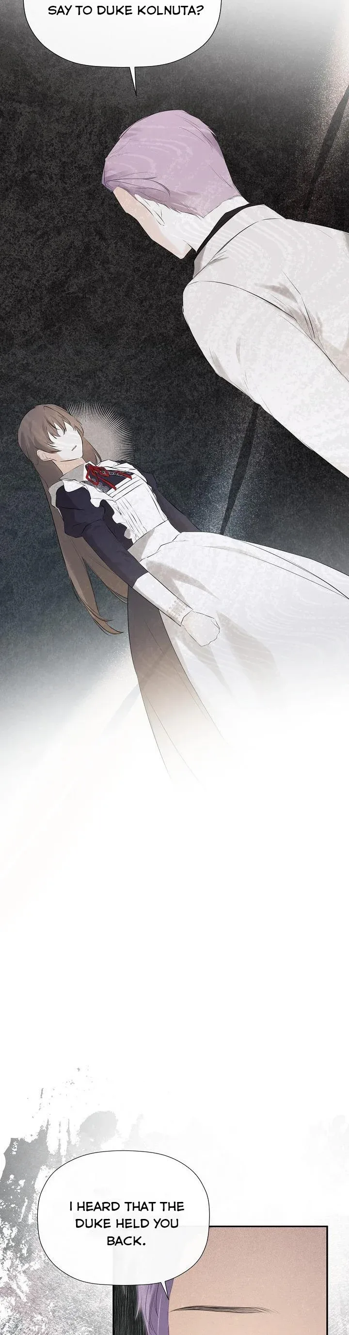 I Mistook the Hidden Identity of the Sub Male Lead Chapter 27 page 9