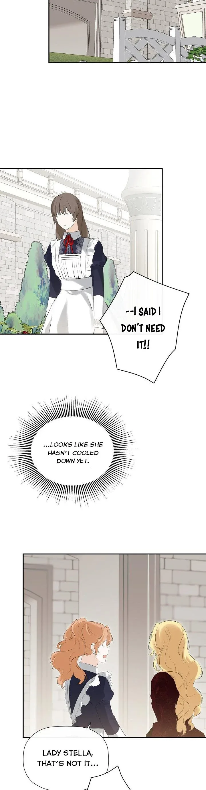 I Mistook the Hidden Identity of the Sub Male Lead Chapter 27 page 25