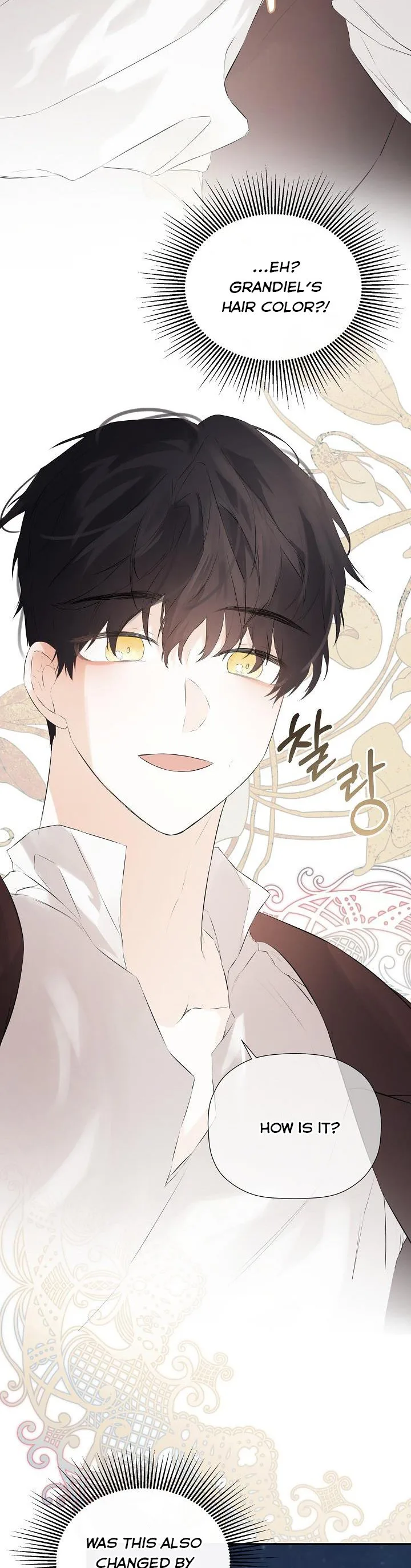 I Mistook the Hidden Identity of the Sub Male Lead Chapter 30 page 31
