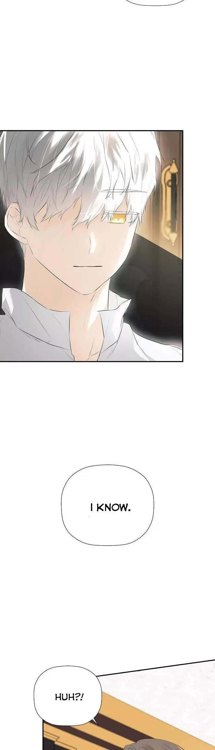 I Mistook the Hidden Identity of the Sub Male Lead Chapter 31 page 3