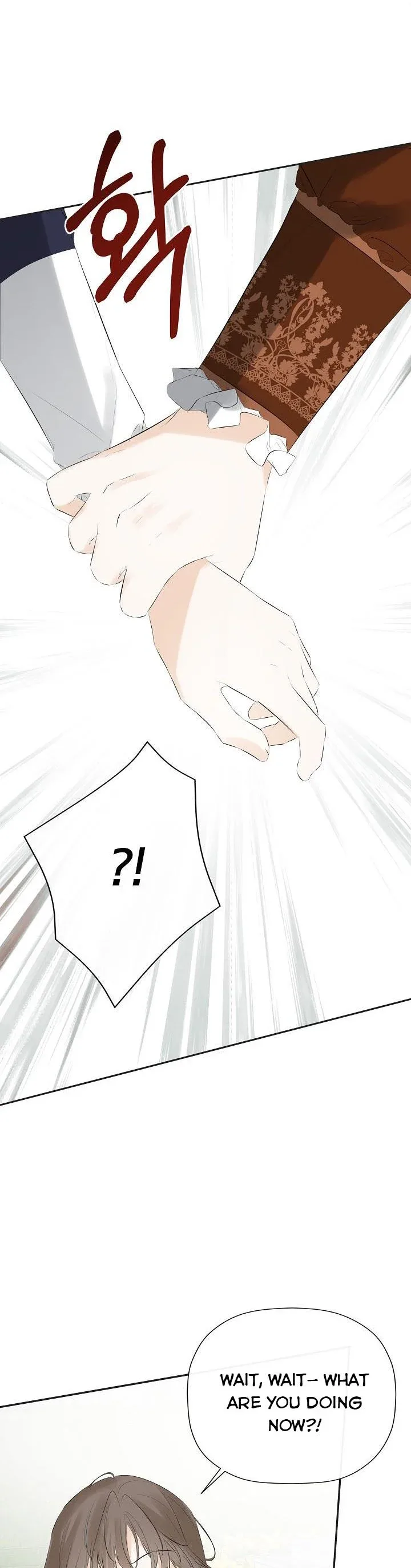 I Mistook the Hidden Identity of the Sub Male Lead Chapter 33 page 21