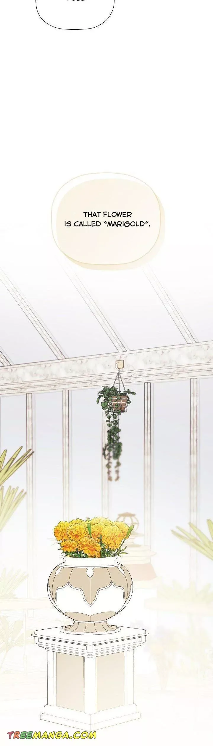 I Mistook the Hidden Identity of the Sub Male Lead Chapter 32 page 14