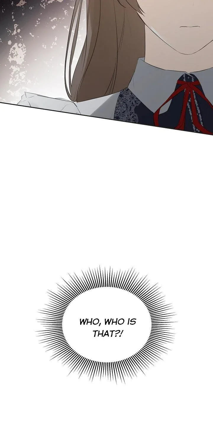 I Mistook the Hidden Identity of the Sub Male Lead Chapter 33 page 45