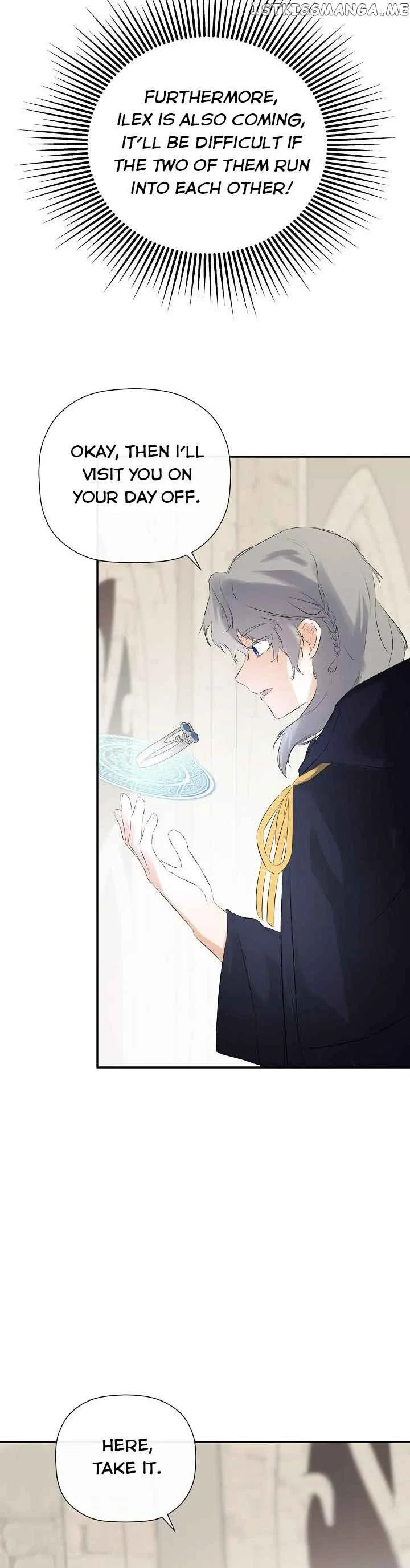 I Mistook the Hidden Identity of the Sub Male Lead Chapter 38 page 11