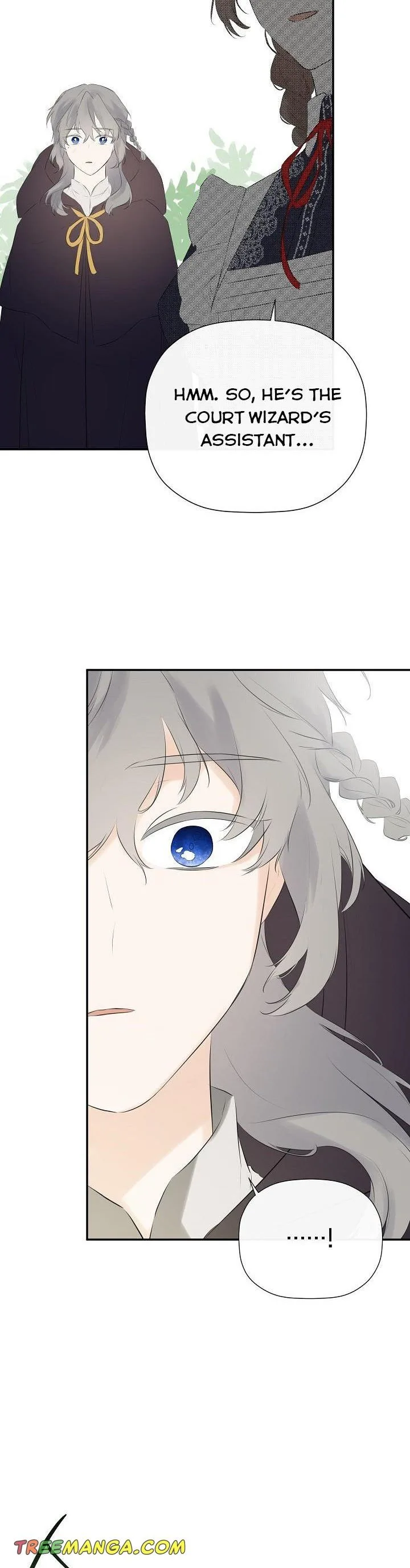 I Mistook the Hidden Identity of the Sub Male Lead Chapter 37 page 28