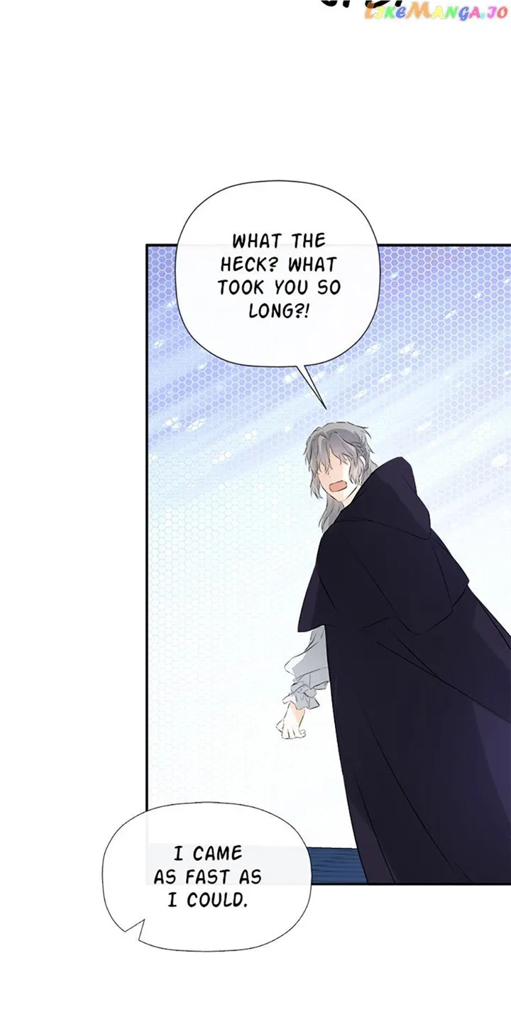 I Mistook the Hidden Identity of the Sub Male Lead Chapter 47 page 12