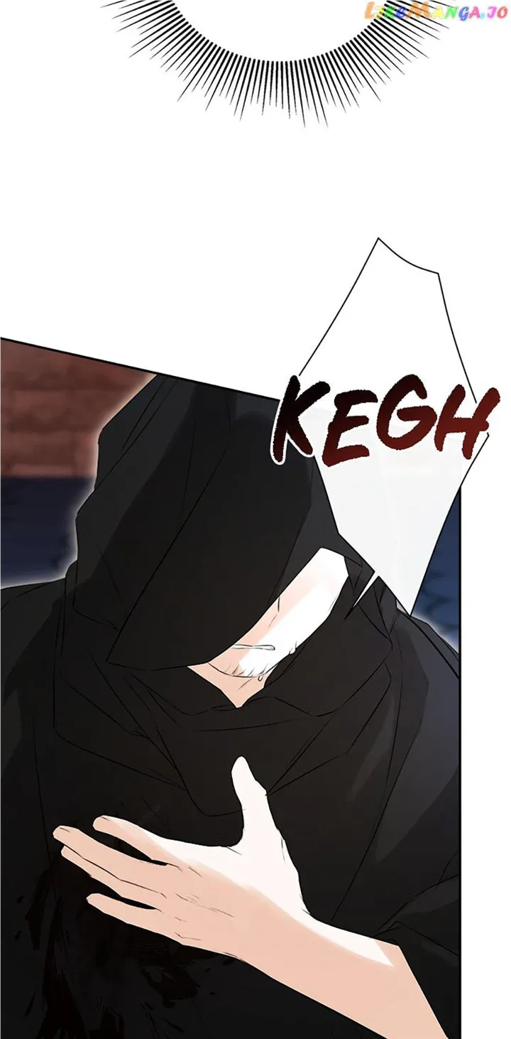 I Mistook the Hidden Identity of the Sub Male Lead Chapter 47 page 45
