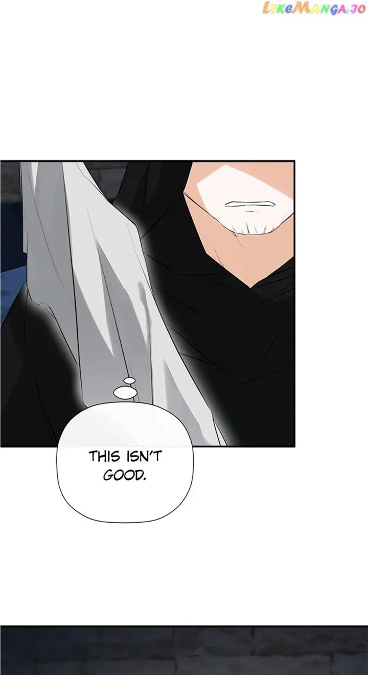 I Mistook the Hidden Identity of the Sub Male Lead Chapter 47 page 35