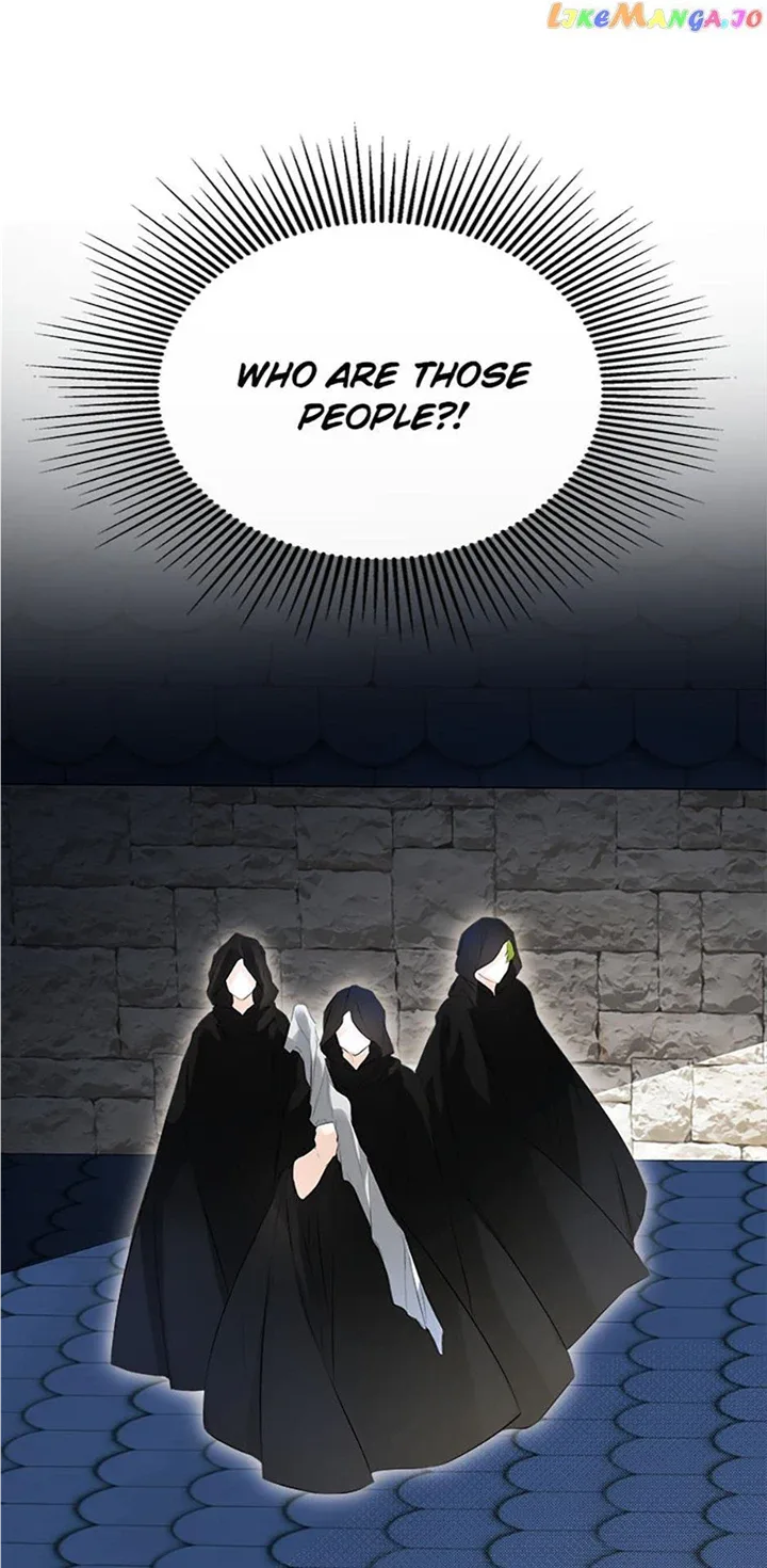 I Mistook the Hidden Identity of the Sub Male Lead Chapter 47 page 17