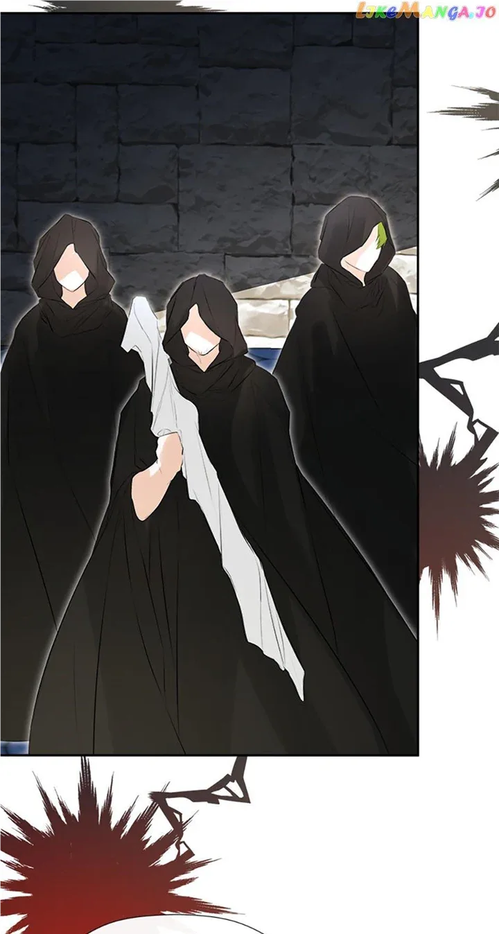 I Mistook the Hidden Identity of the Sub Male Lead Chapter 47 page 22