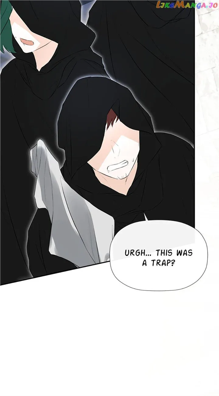 I Mistook the Hidden Identity of the Sub Male Lead Chapter 47 page 34