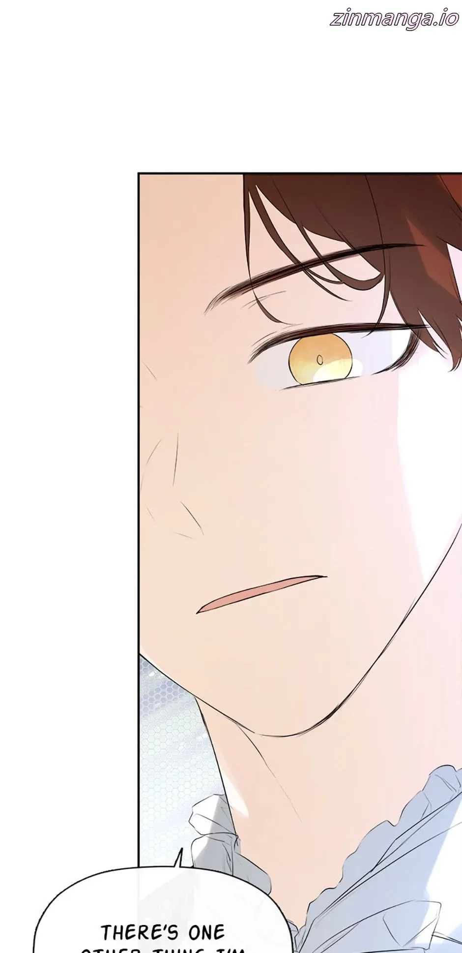 I Mistook the Hidden Identity of the Sub Male Lead Chapter 48 page 22
