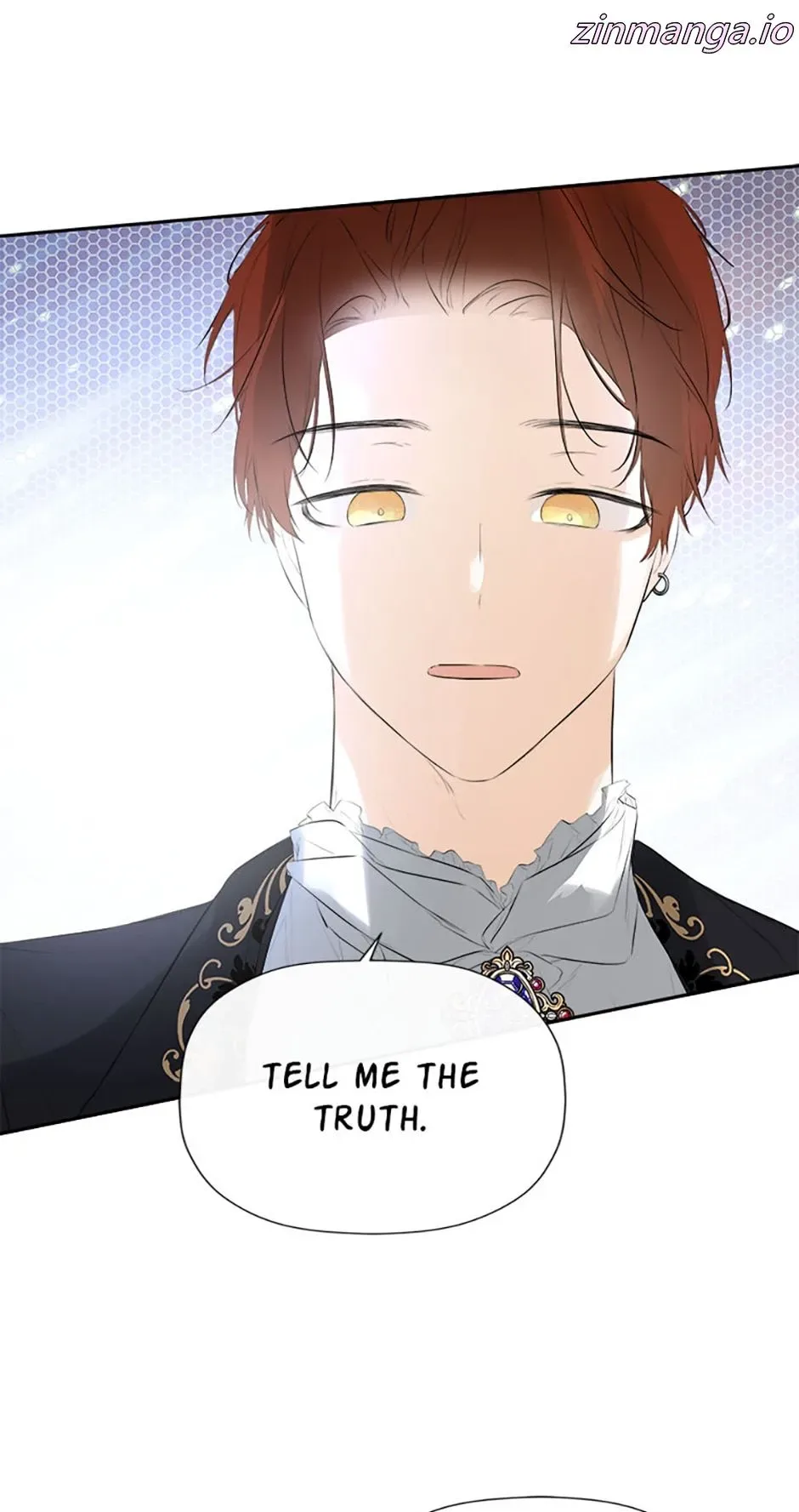 I Mistook the Hidden Identity of the Sub Male Lead Chapter 48 page 13