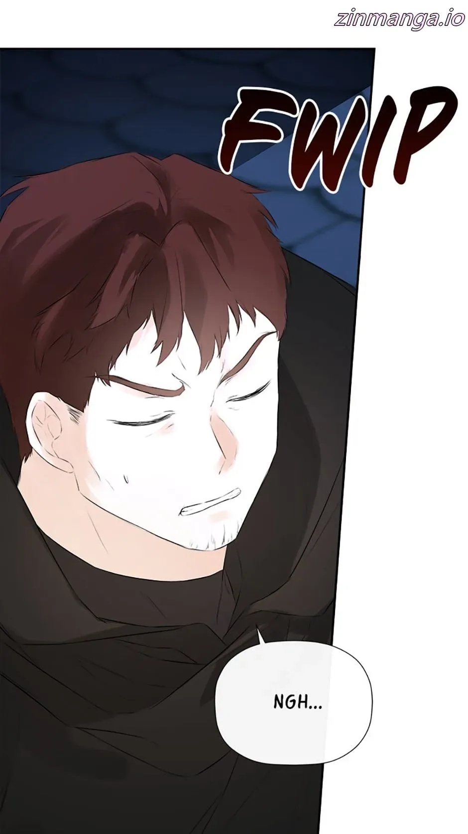 I Mistook the Hidden Identity of the Sub Male Lead Chapter 48 page 5