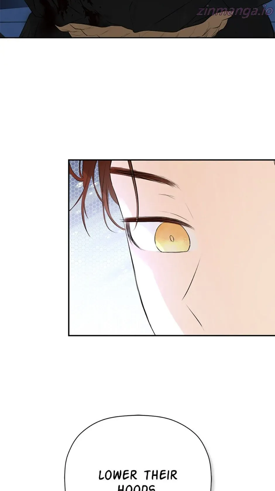 I Mistook the Hidden Identity of the Sub Male Lead Chapter 48 page 3