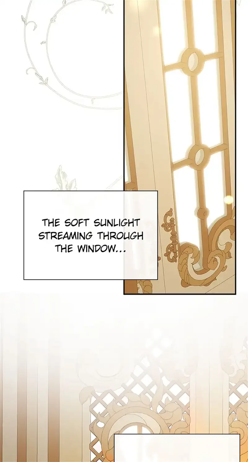 I Mistook the Hidden Identity of the Sub Male Lead Chapter 51 page 3