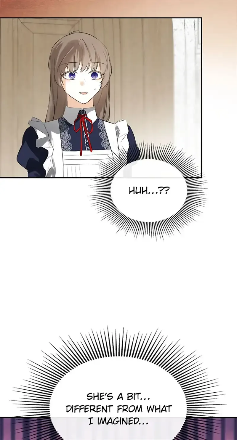 I Mistook the Hidden Identity of the Sub Male Lead Chapter 51 page 64