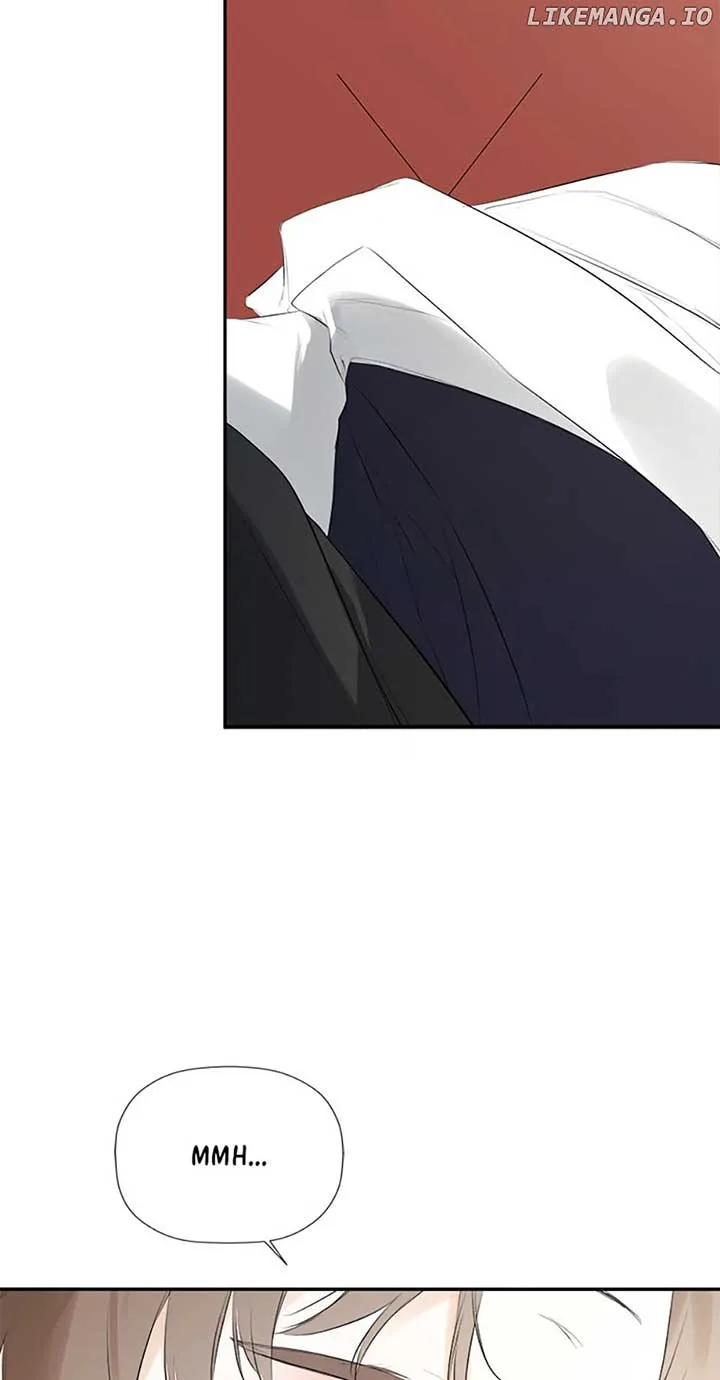 I Mistook the Hidden Identity of the Sub Male Lead Chapter 50 page 39