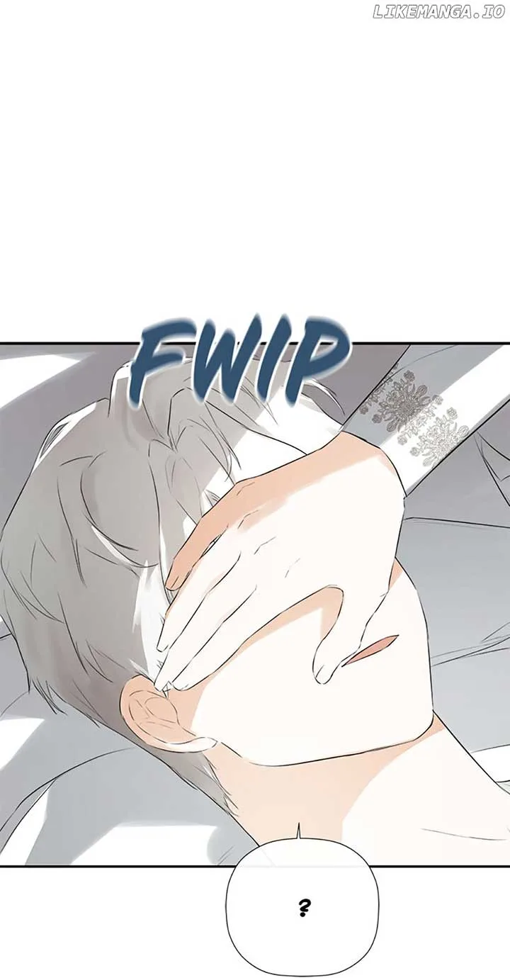 I Mistook the Hidden Identity of the Sub Male Lead Chapter 50 page 8