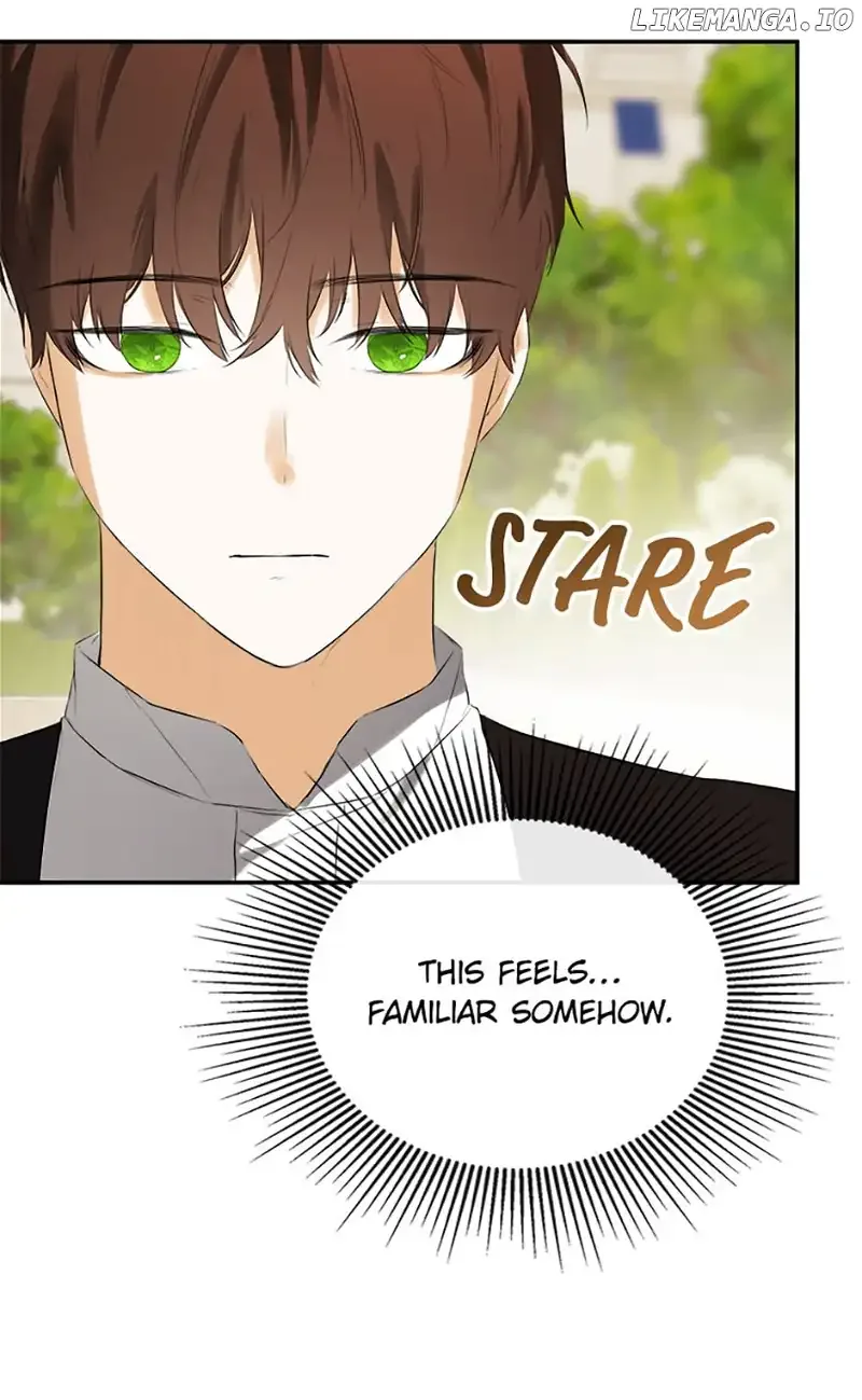I Mistook the Hidden Identity of the Sub Male Lead Chapter 53 page 15