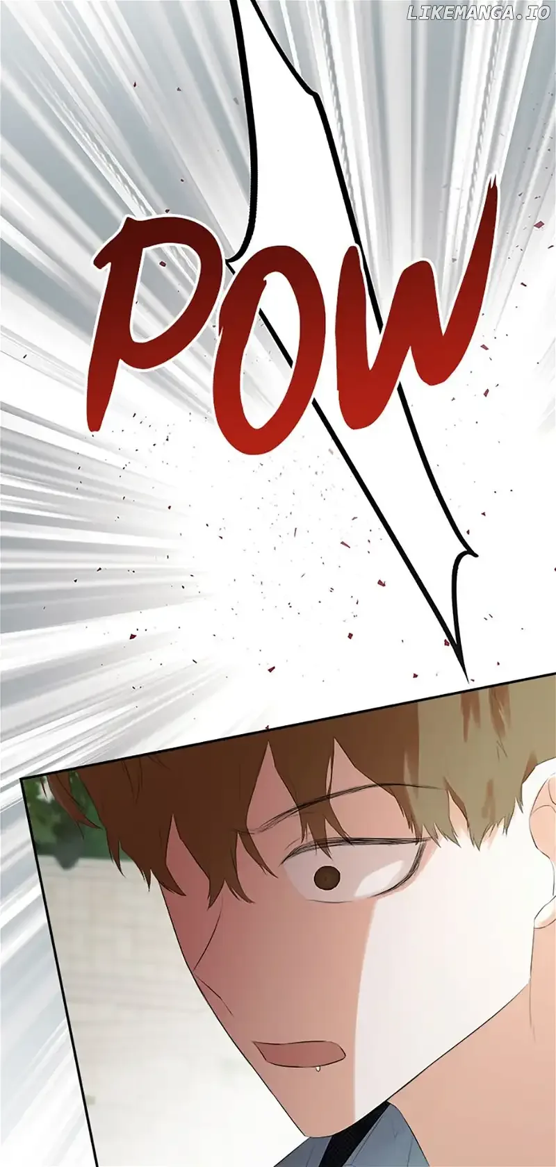 I Mistook the Hidden Identity of the Sub Male Lead Chapter 59 page 8