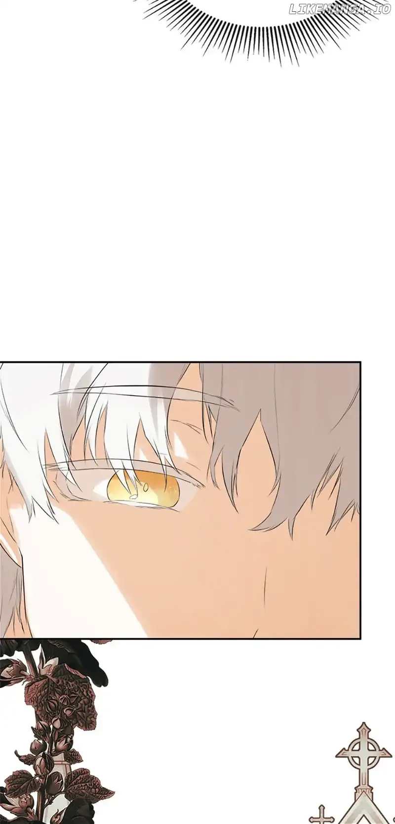 I Mistook the Hidden Identity of the Sub Male Lead Chapter 59 page 61