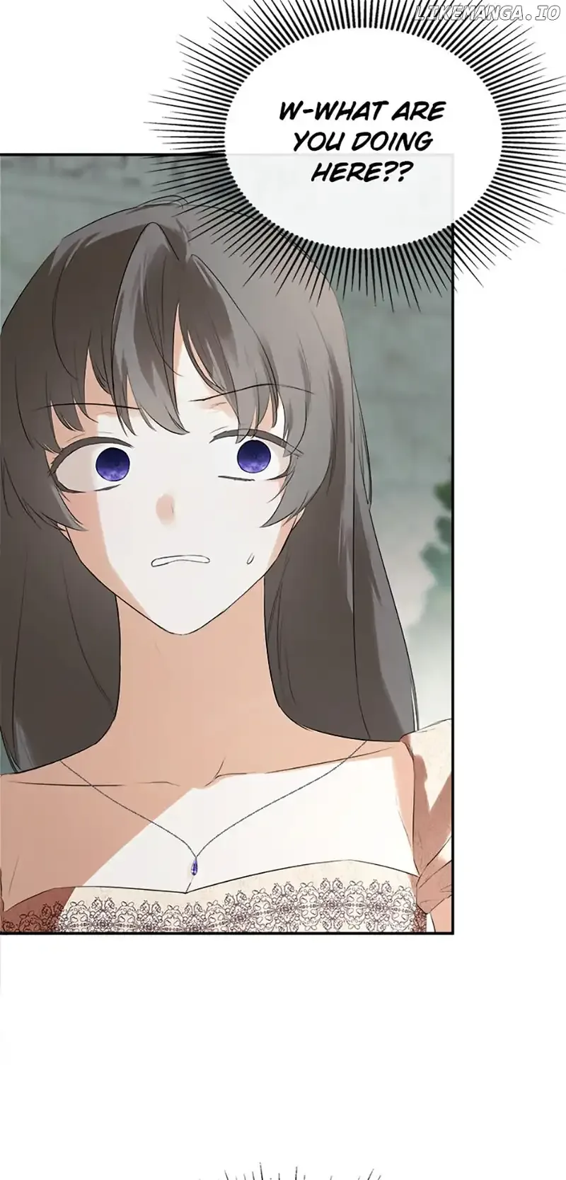 I Mistook the Hidden Identity of the Sub Male Lead Chapter 58 page 3