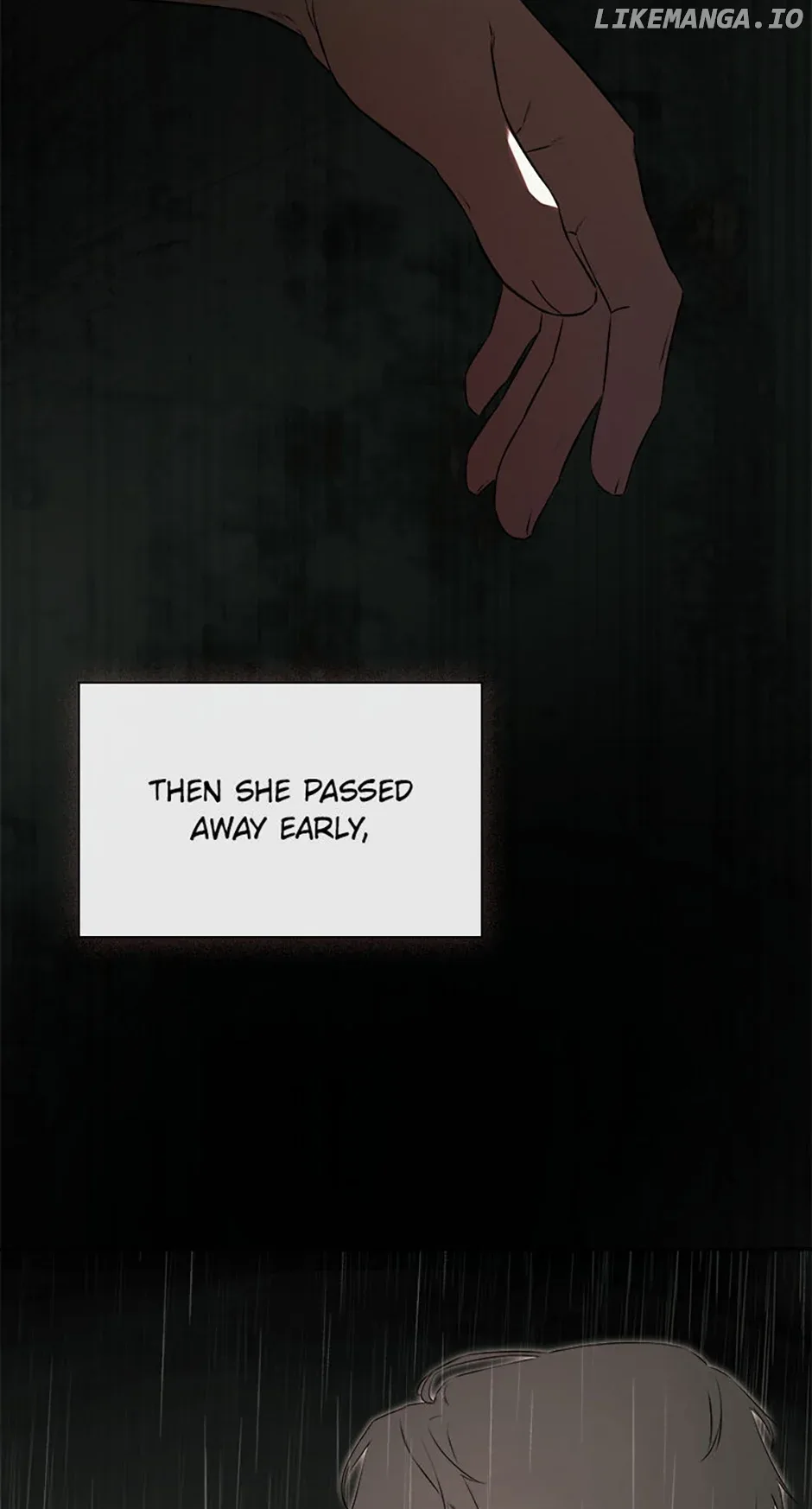 I Mistook the Hidden Identity of the Sub Male Lead Chapter 65 page 41