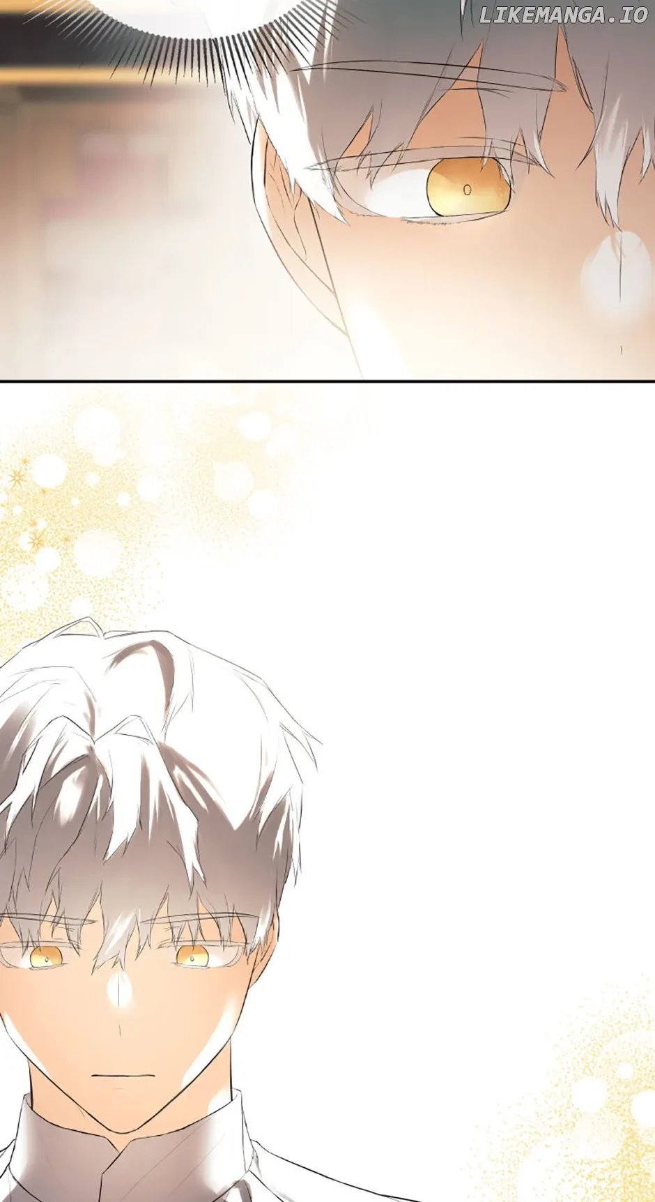 I Mistook the Hidden Identity of the Sub Male Lead Chapter 69 page 74