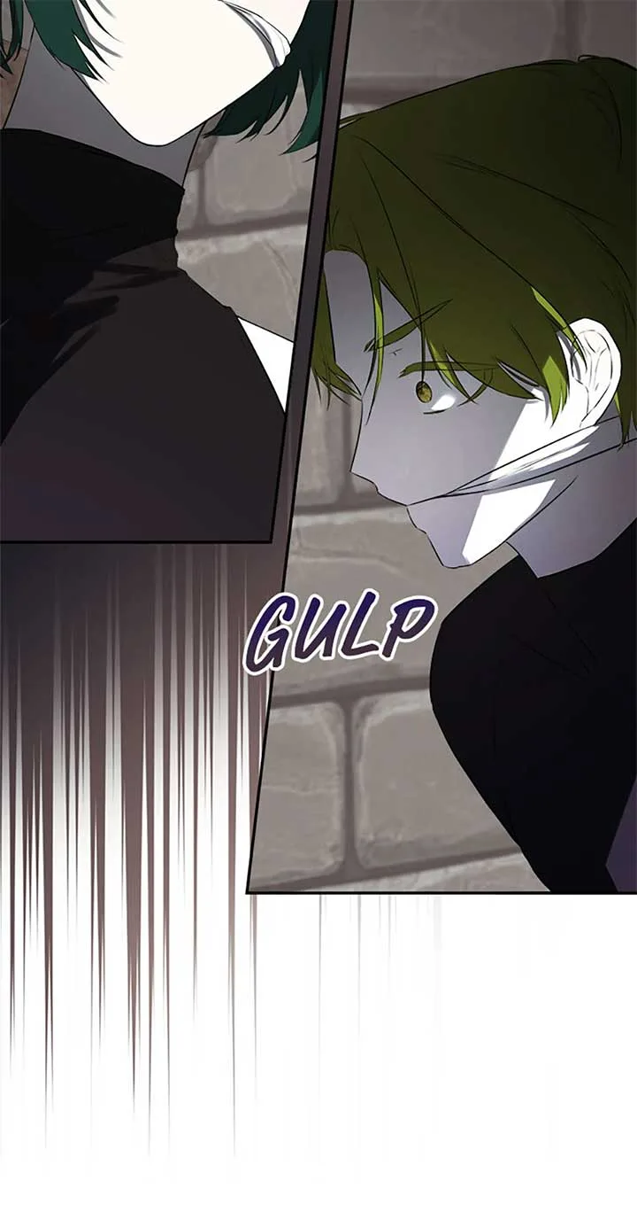 I Mistook the Hidden Identity of the Sub Male Lead Chapter 73 page 31