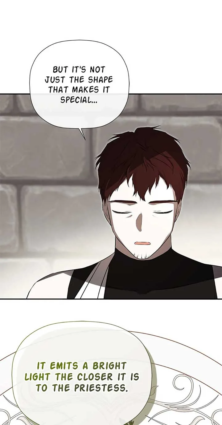 I Mistook the Hidden Identity of the Sub Male Lead Chapter 75 page 52