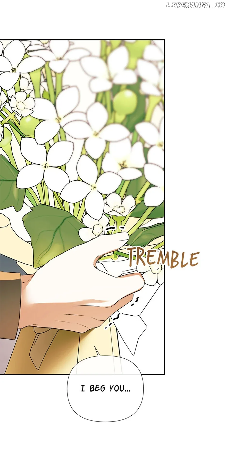 I Mistook the Hidden Identity of the Sub Male Lead Chapter 71 page 12