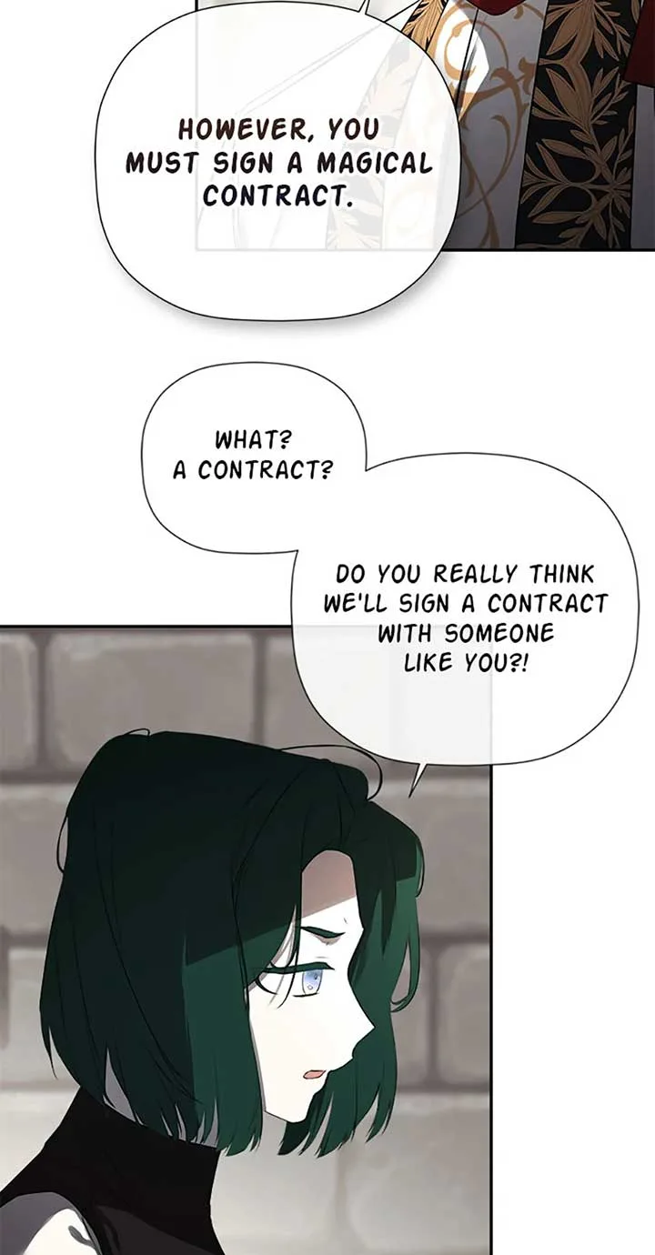 I Mistook the Hidden Identity of the Sub Male Lead Chapter 75 page 25