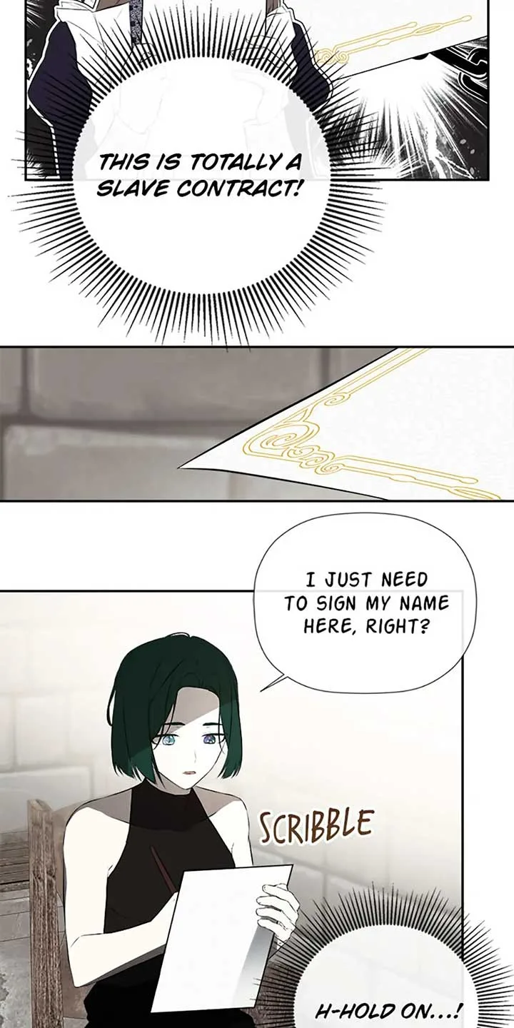I Mistook the Hidden Identity of the Sub Male Lead Chapter 75 page 31